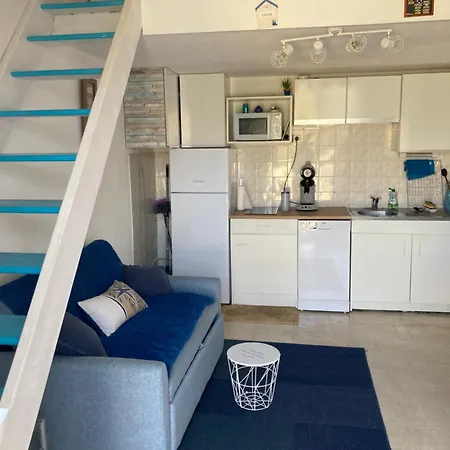 Maison Climatisee A 500m De La Dans * Saint-Cyprien (Pyrenees-Orientales)
